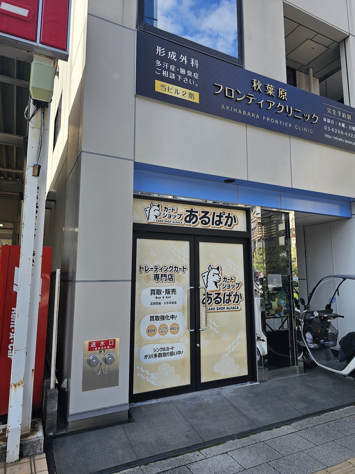 Card Shop Alpaca