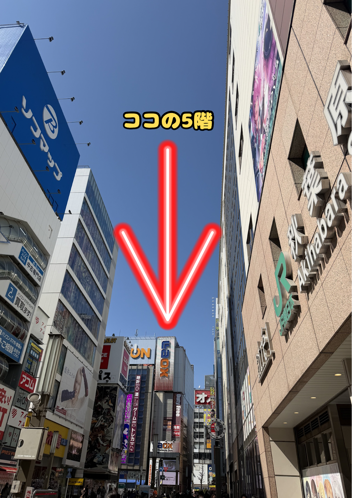 Pokemon Card Specialty Store MERO Akihabara