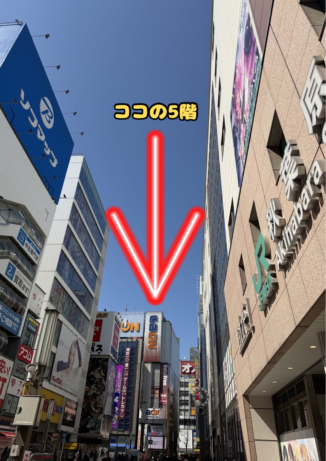 ポケモンカード専門店MERO 秋葉原